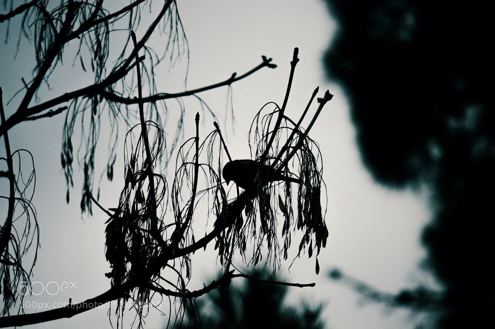 Nikon D3200 sample photo. Untitled photography