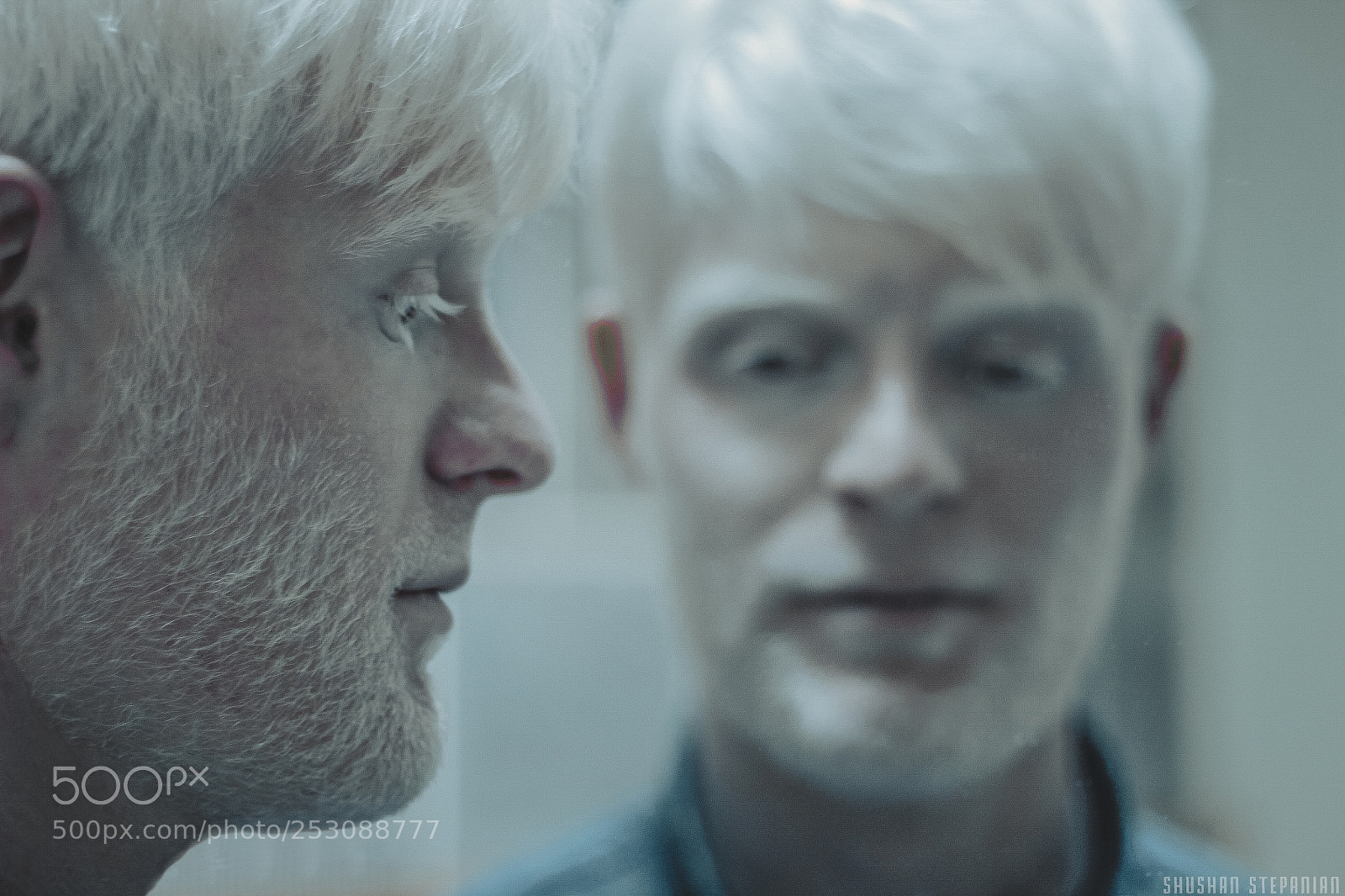 Canon EOS 600D (Rebel EOS T3i / EOS Kiss X5) sample photo. Albino and the mirror photography