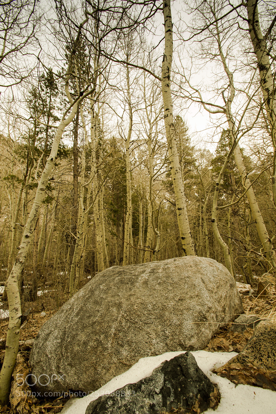 Nikon D7200 sample photo. Keeping it simple... nature photography