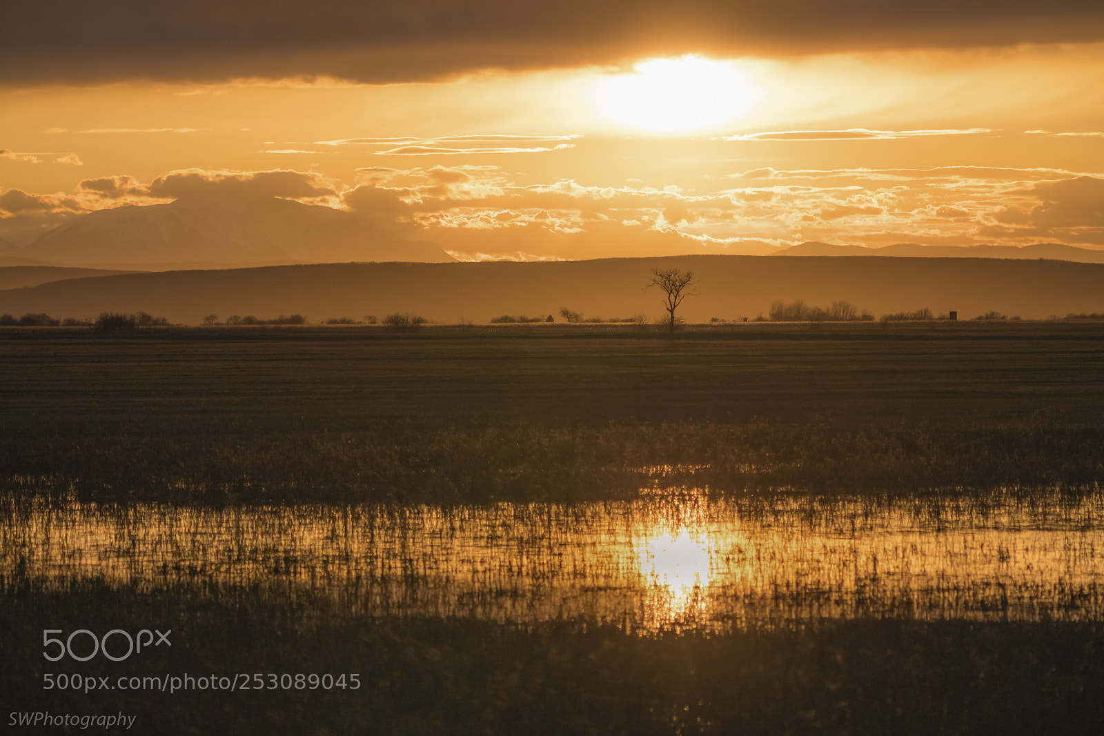 Sony a7R III sample photo. Golden sunset photography