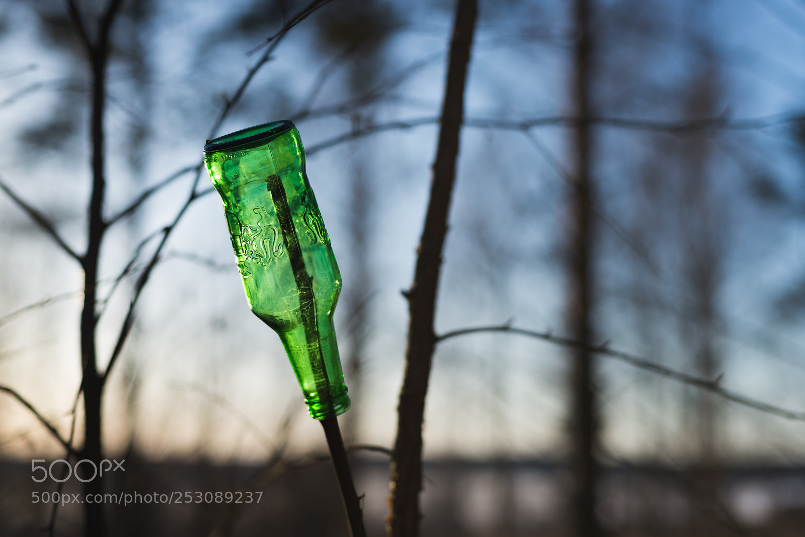 Nikon D600 sample photo. Green bottle photography