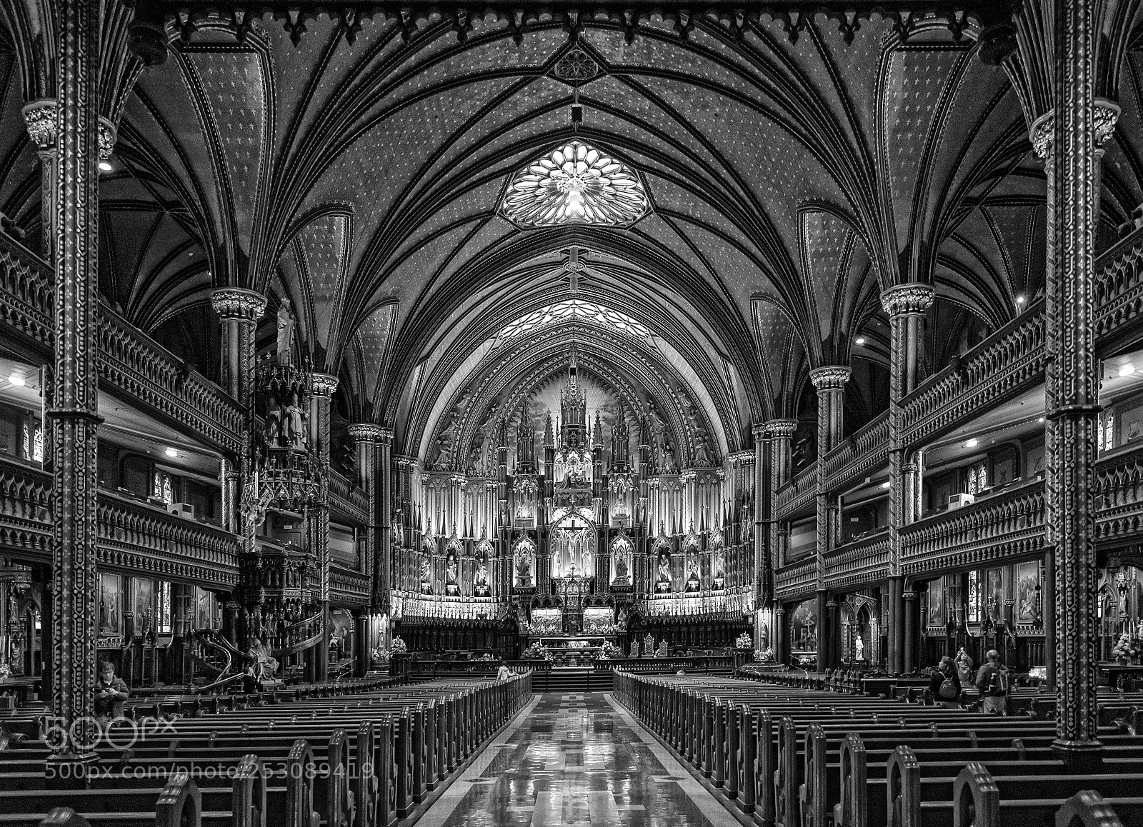 Nikon D610 sample photo. Notre dame basilica montreal photography