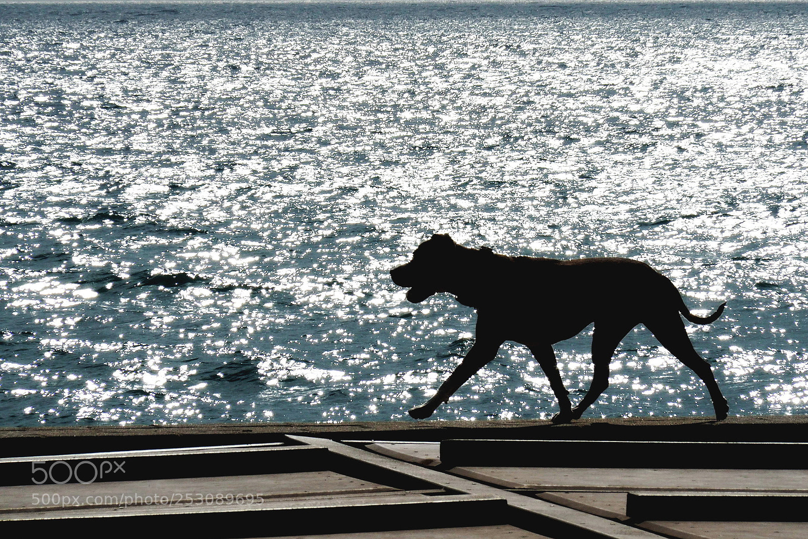 Olympus OM-D E-M5 II sample photo. Tarda de mar photography