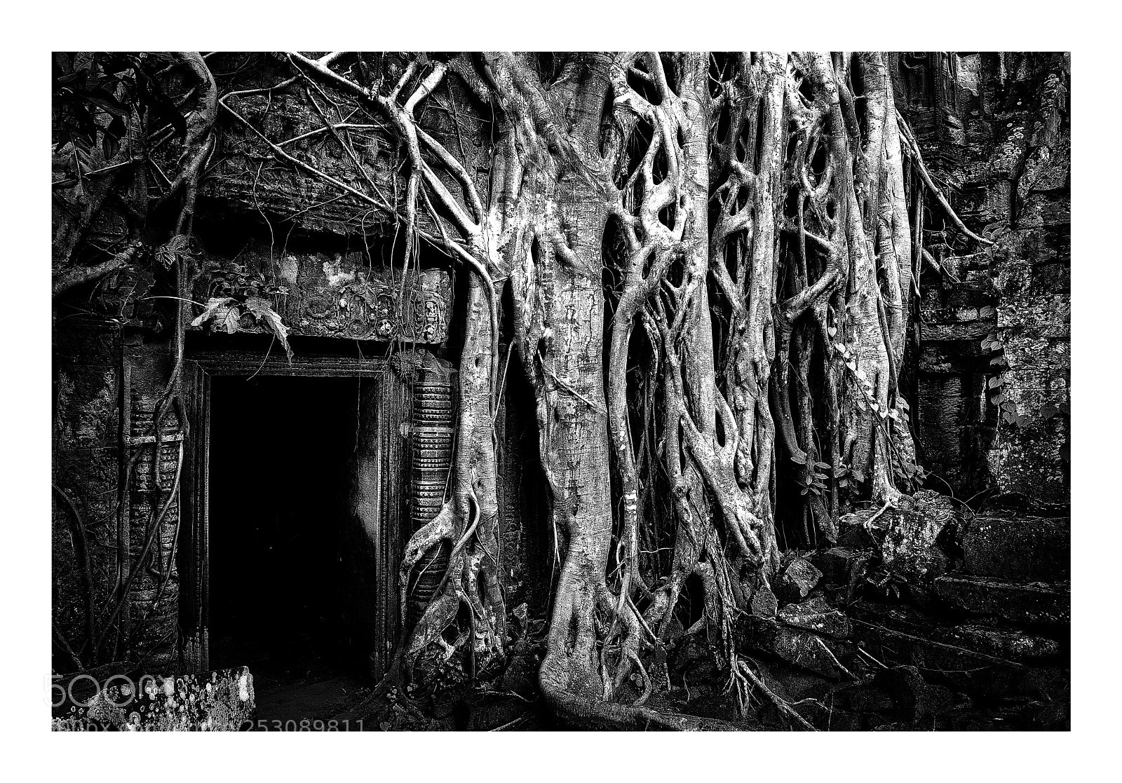Nikon D800 sample photo. Ta prohm iii photography