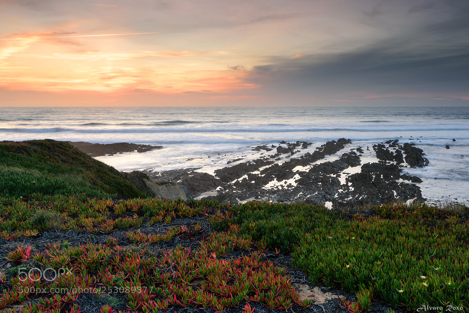 Nikon D810 sample photo. Sudoeste photography