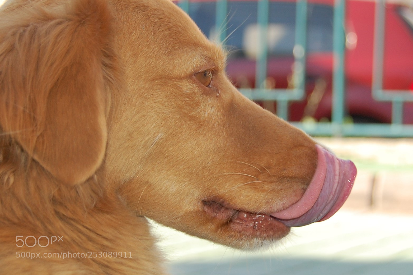 Nikon D40 sample photo. [] photography