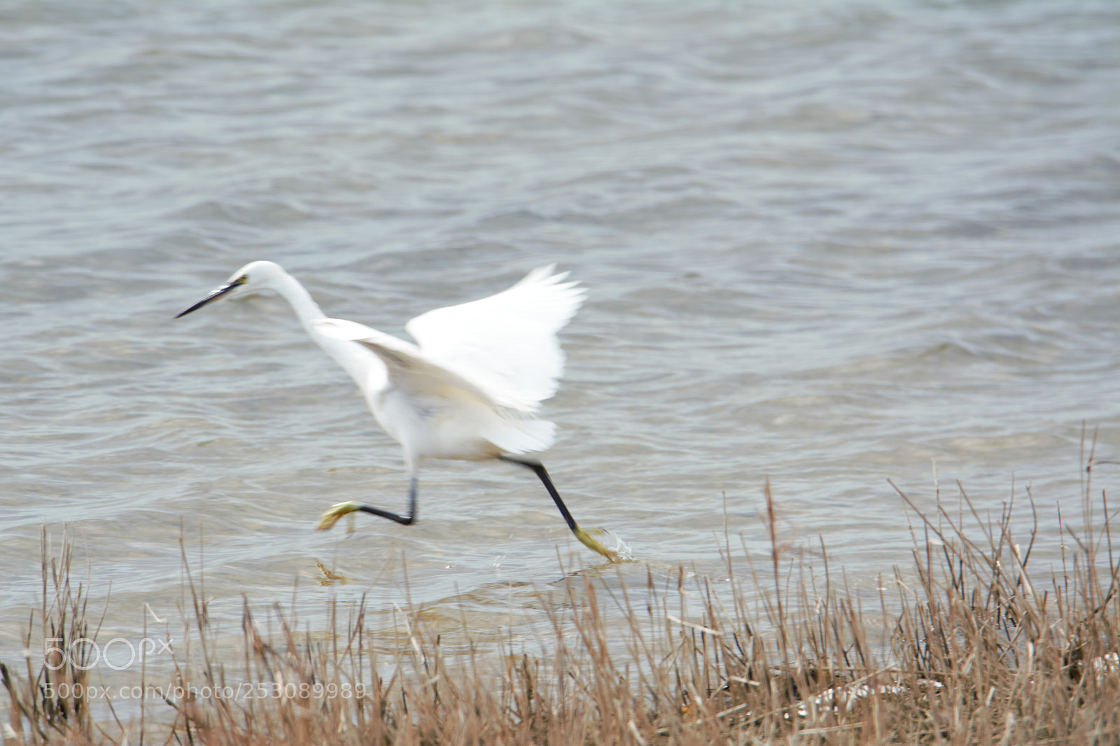 Nikon D7100 sample photo. () photography