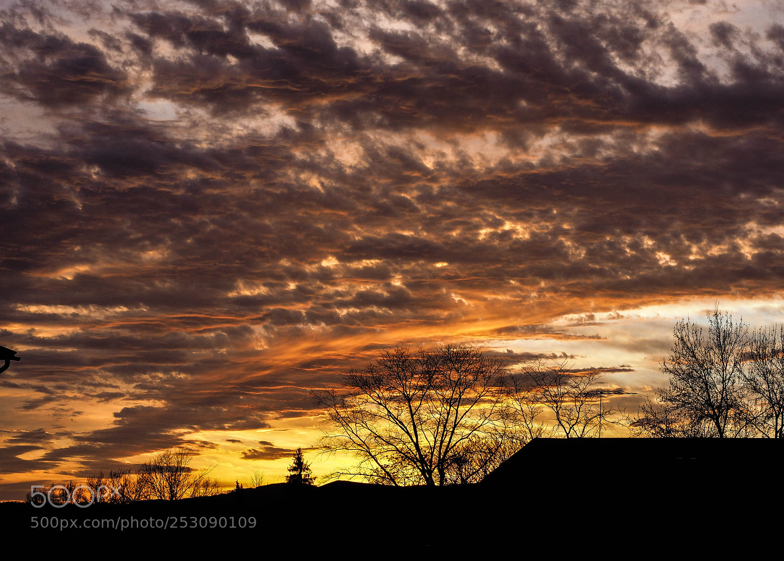 Olympus OM-D E-M1 sample photo. Coachlight sunset photography