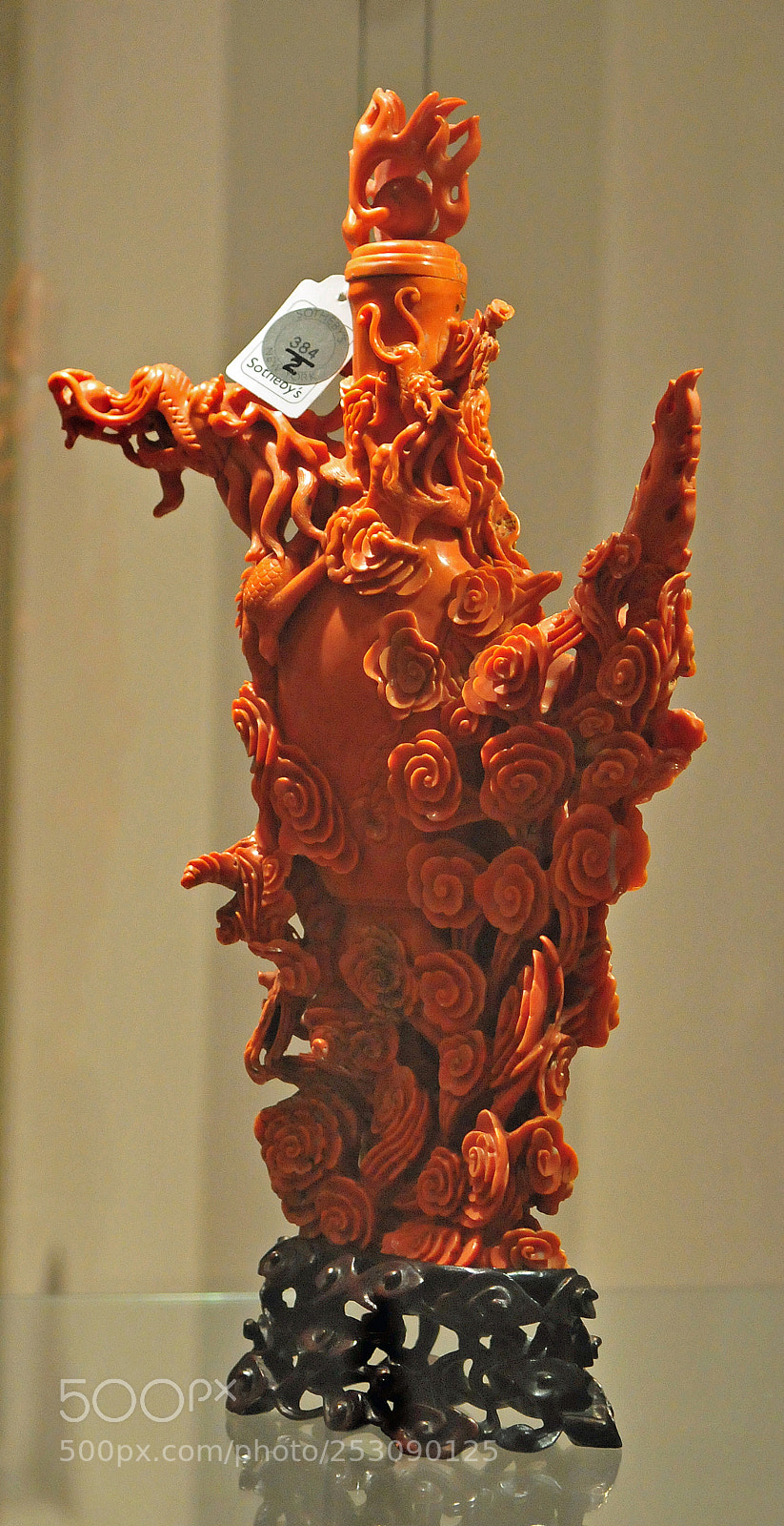 Nikon D300 sample photo. Exquisite coral photography