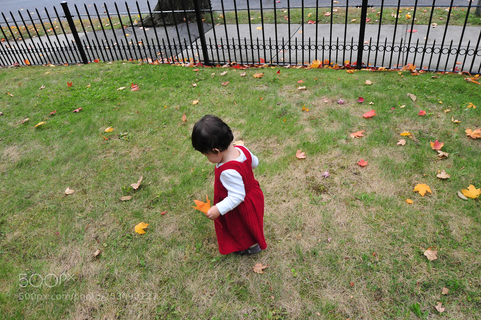 Nikon D300 sample photo. Gee there are lots photography