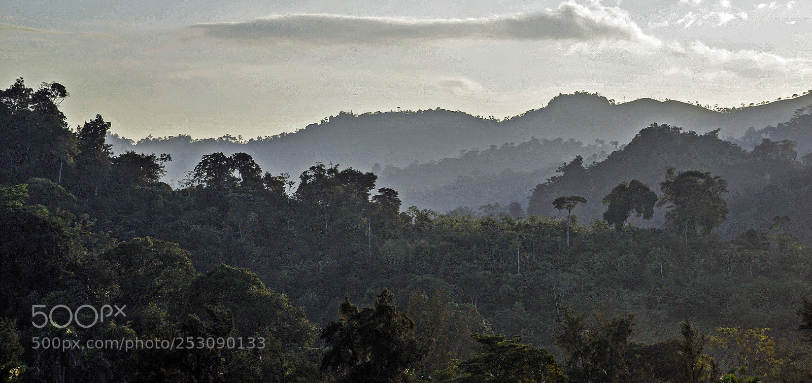 Nikon D300 sample photo. Guatemala jungle and hills photography