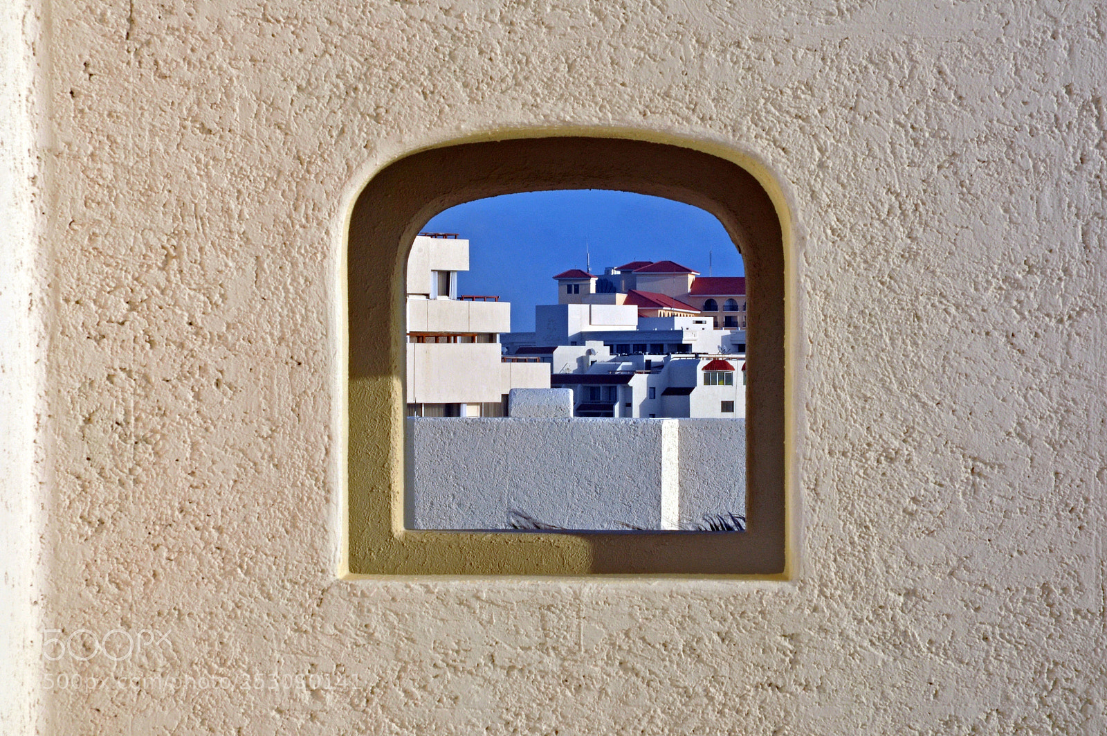 Nikon D300 sample photo. I've been framed! photography