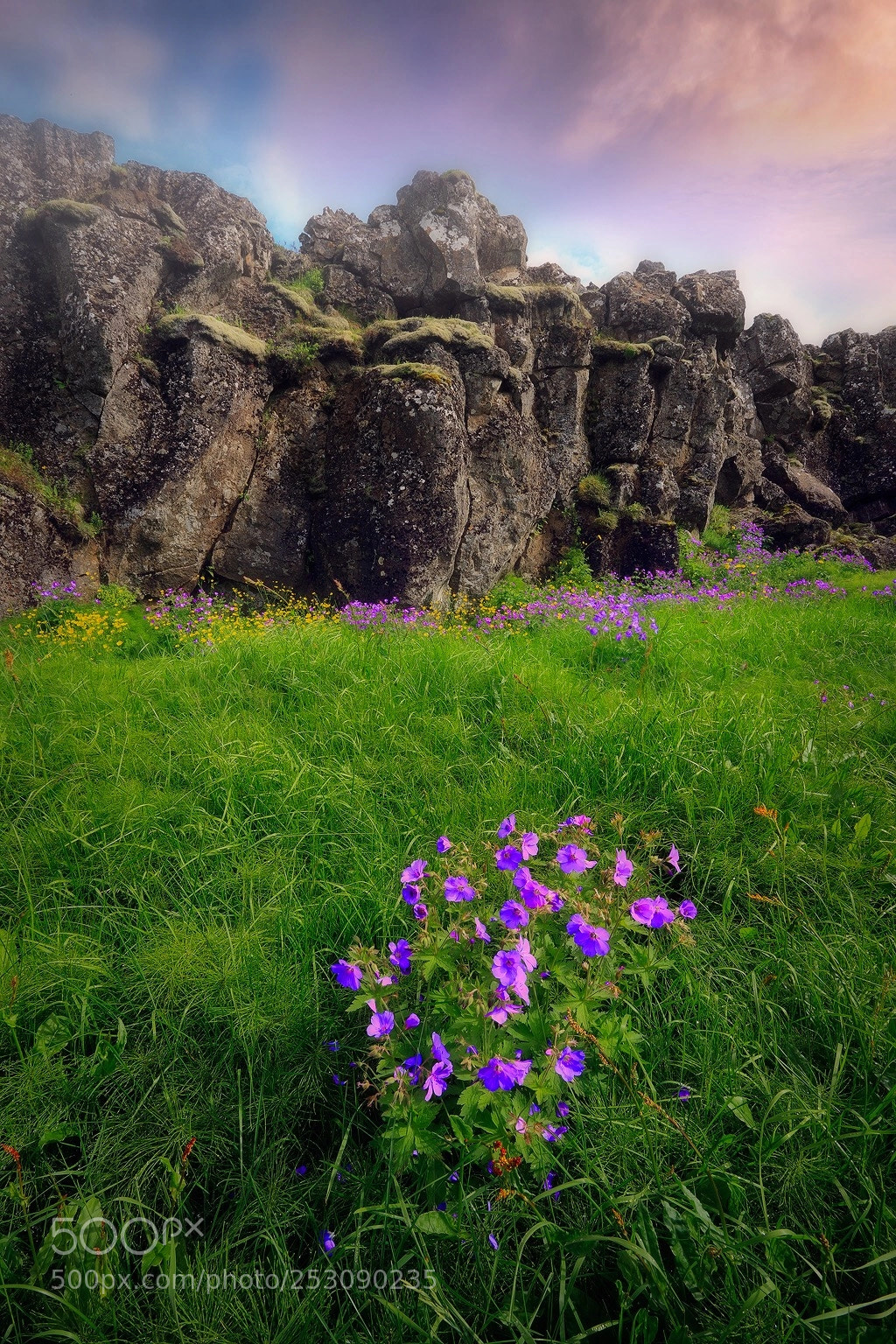 Canon EOS-1Ds Mark III sample photo. Pingvellir, iceland  photography