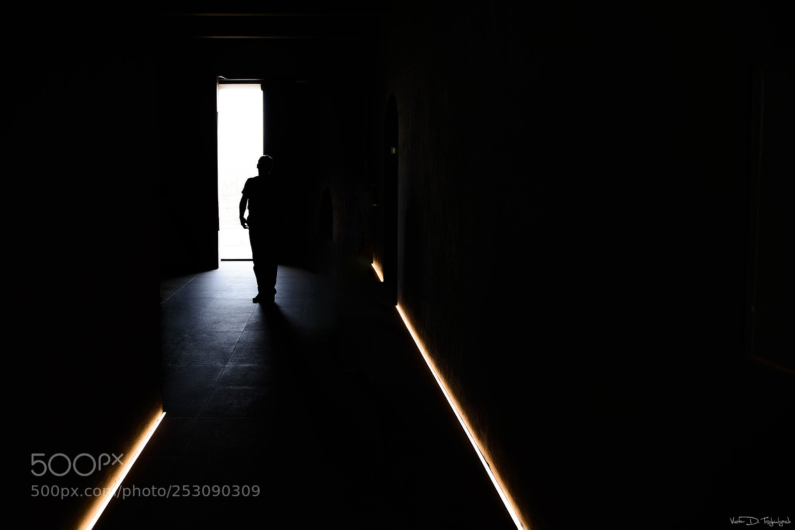 Nikon D800 sample photo. Soul shadows photography
