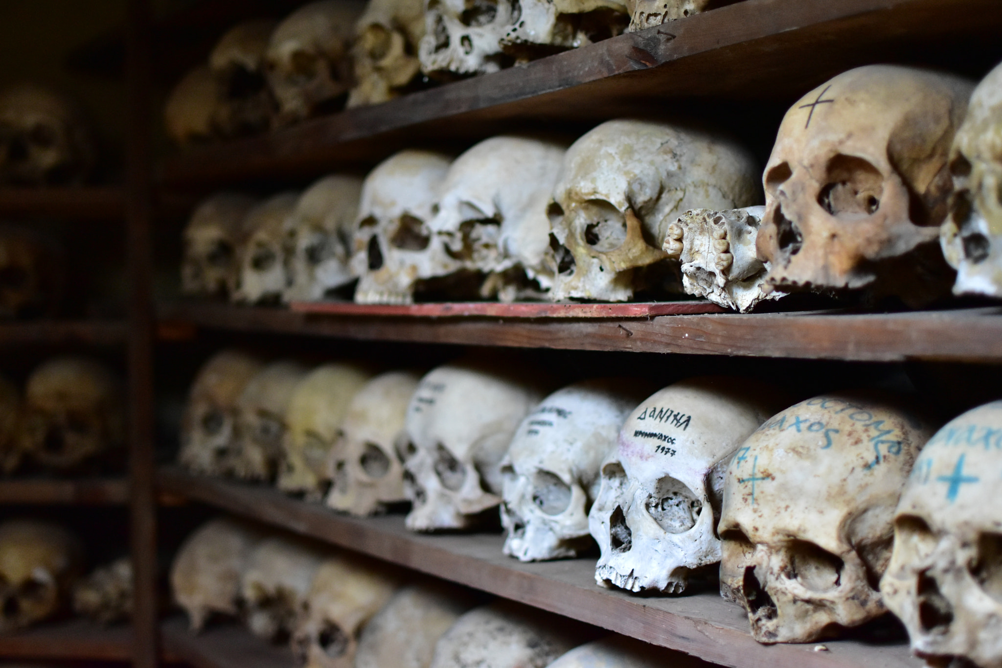 Nikon D5500 + Nikon AF-S DX Nikkor 35mm F1.8G sample photo. Skull collection photography