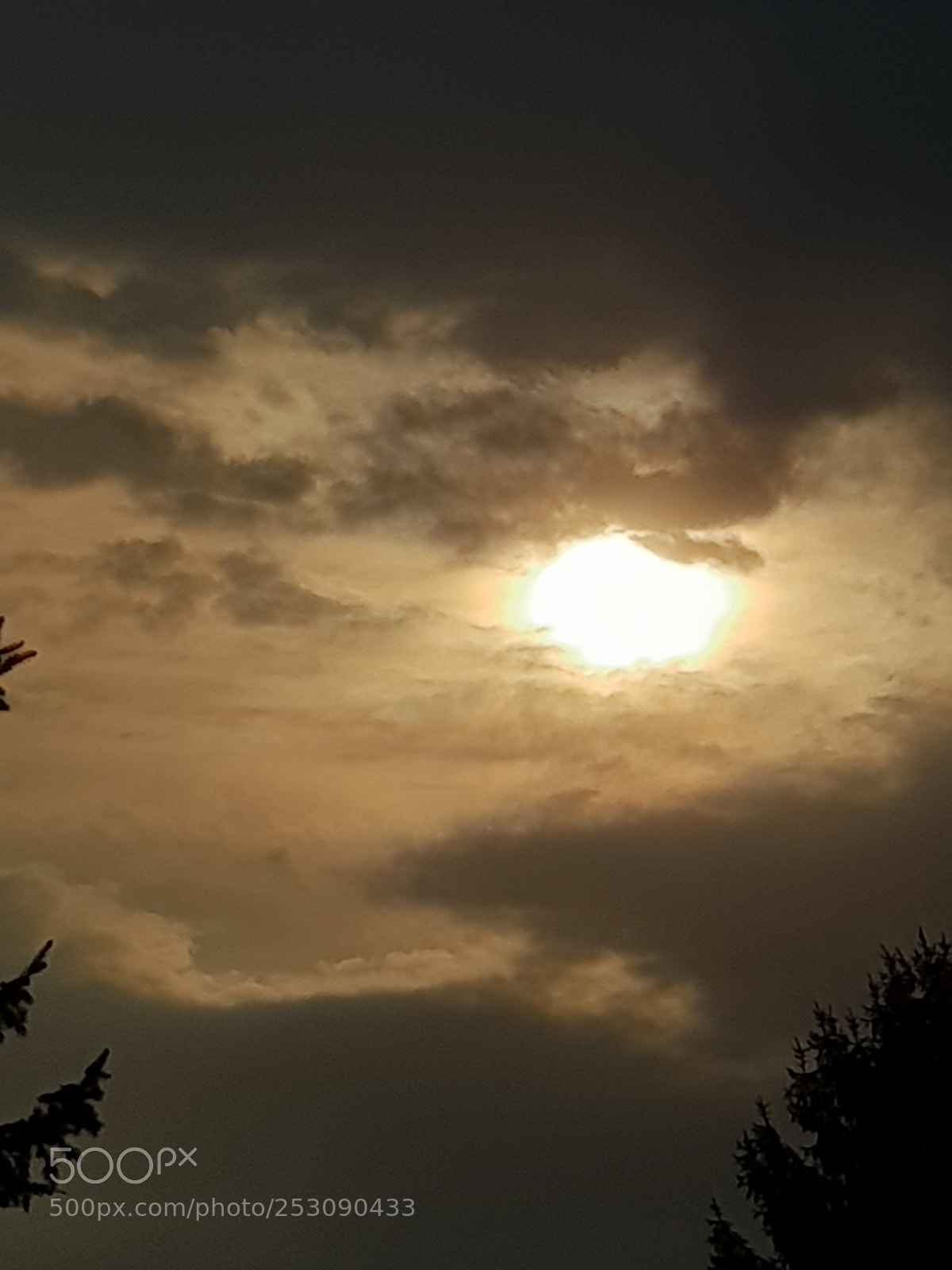 Samsung Galaxy S9+ sample photo. Untitled photography