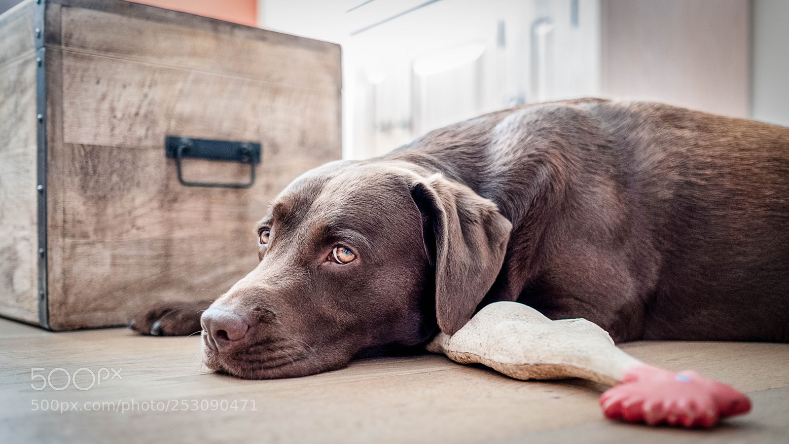 Fujifilm X-Pro2 sample photo. Le jouet photography
