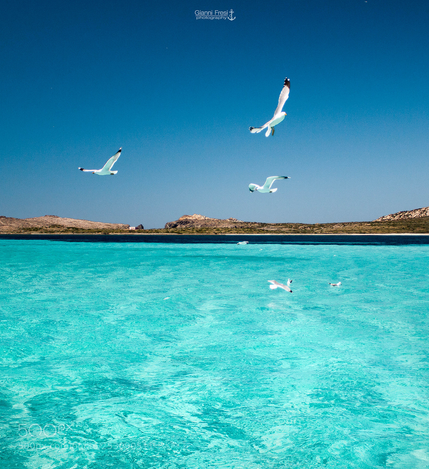 Canon EOS 100D (EOS Rebel SL1 / EOS Kiss X7) sample photo. Asinara photography