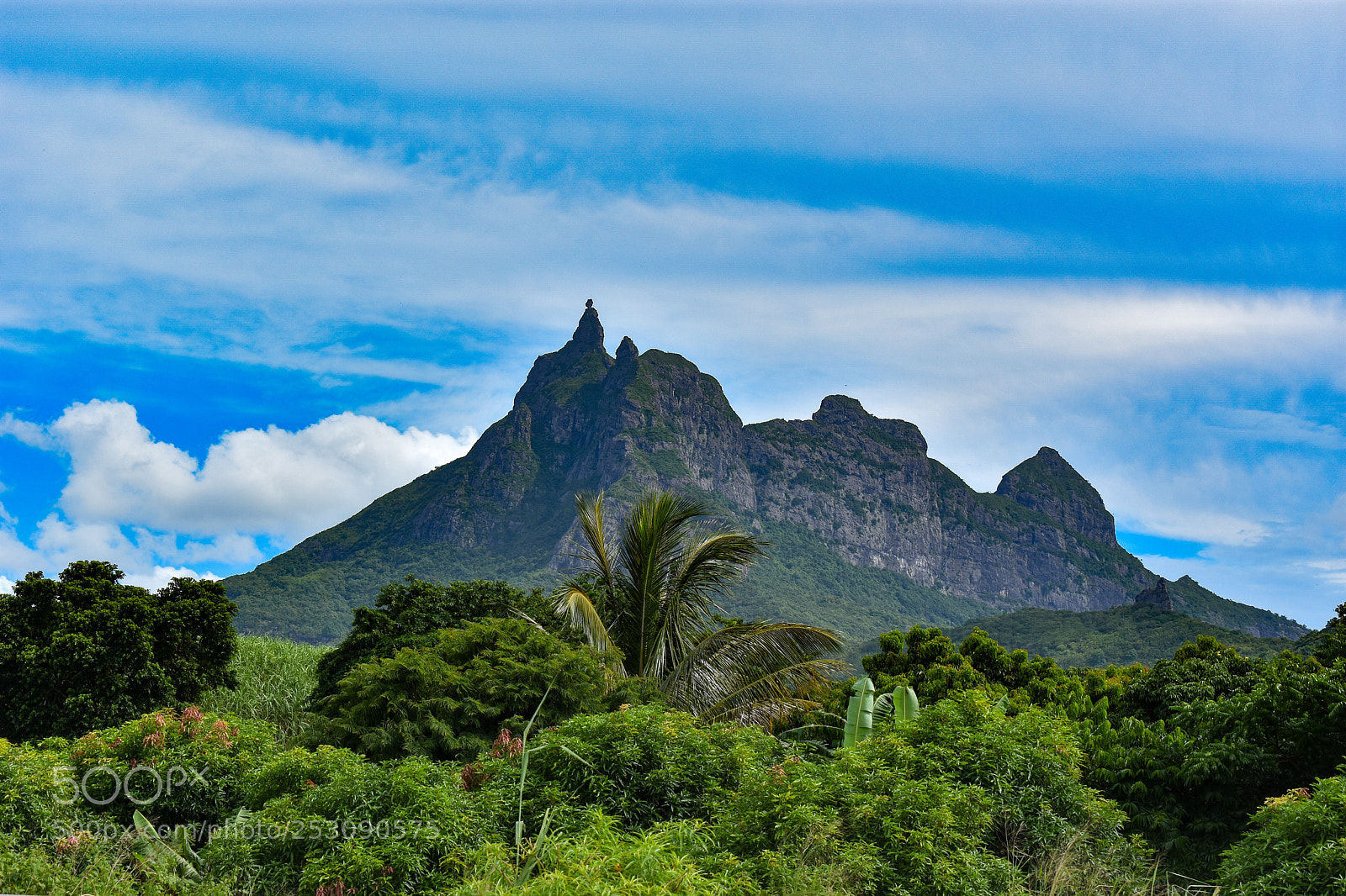 Nikon D3400 sample photo. Pieter both - mauritius photography