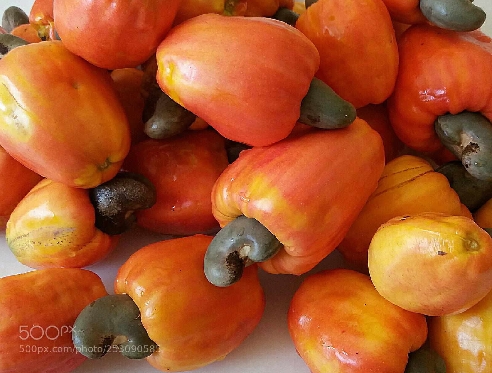 Samsung Galaxy J5(2016) sample photo. Cashews photography