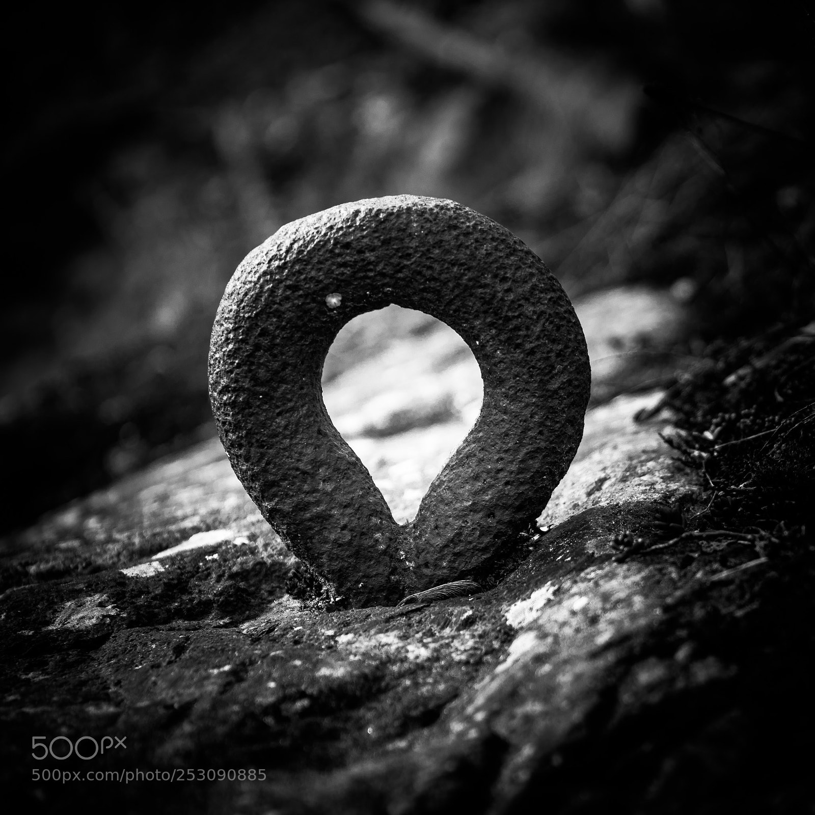 Canon EOS 5D Mark IV sample photo. Drop shape photography