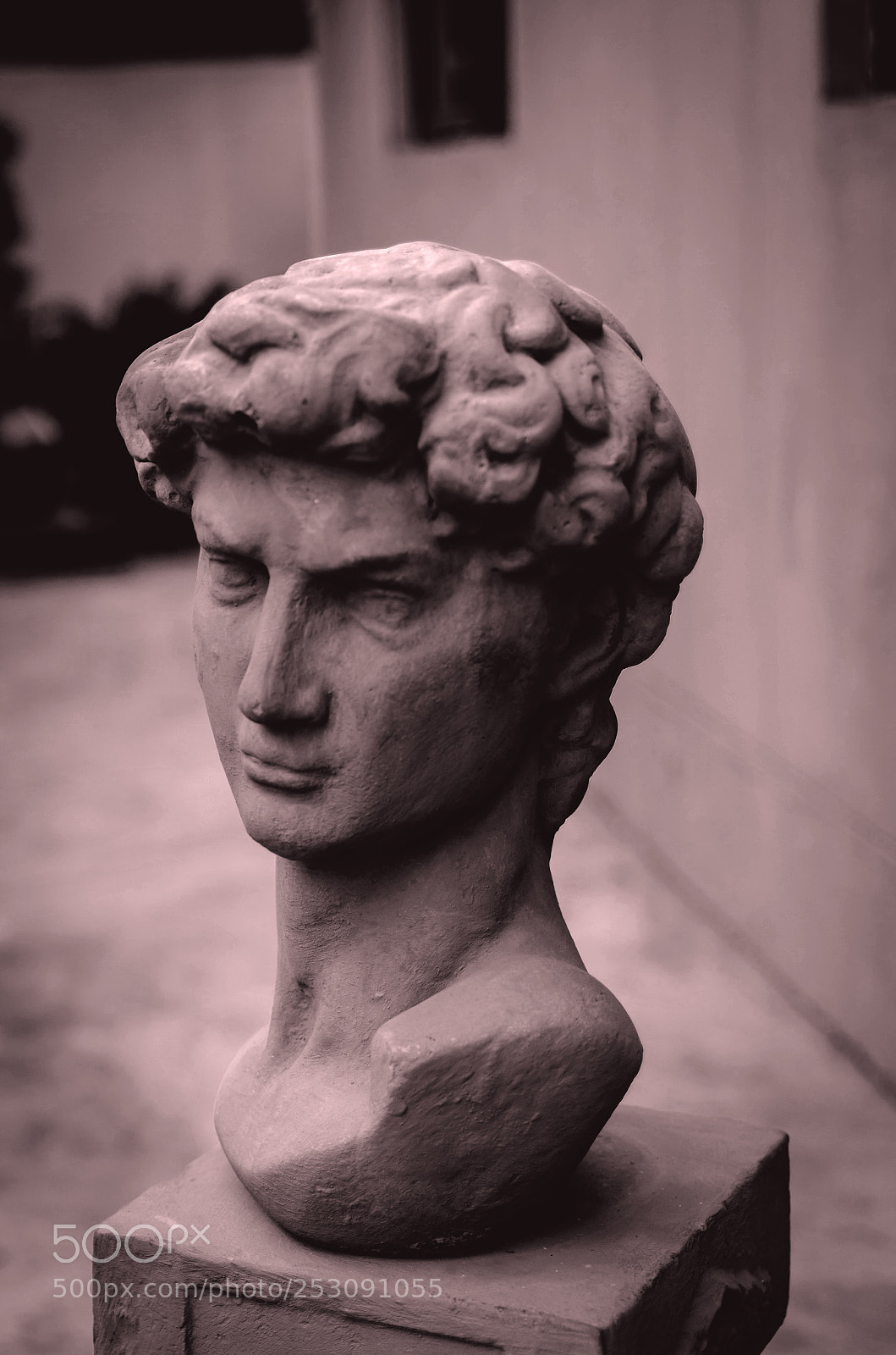 Nikon D5100 sample photo. Untitled photography