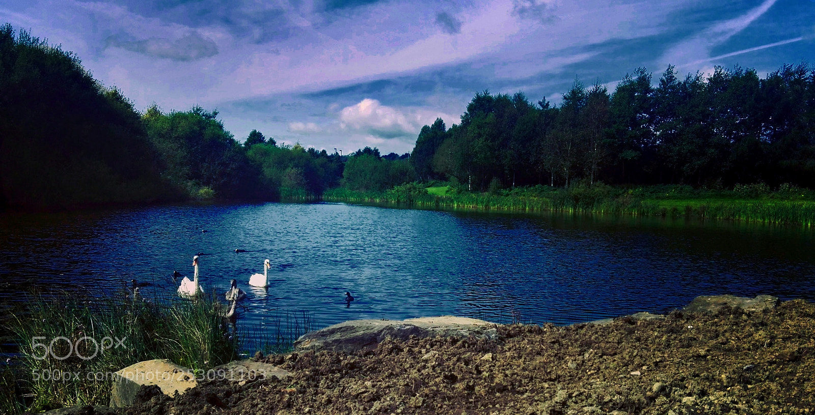 HUAWEI P8 Lite sample photo. Lake in the middle photography
