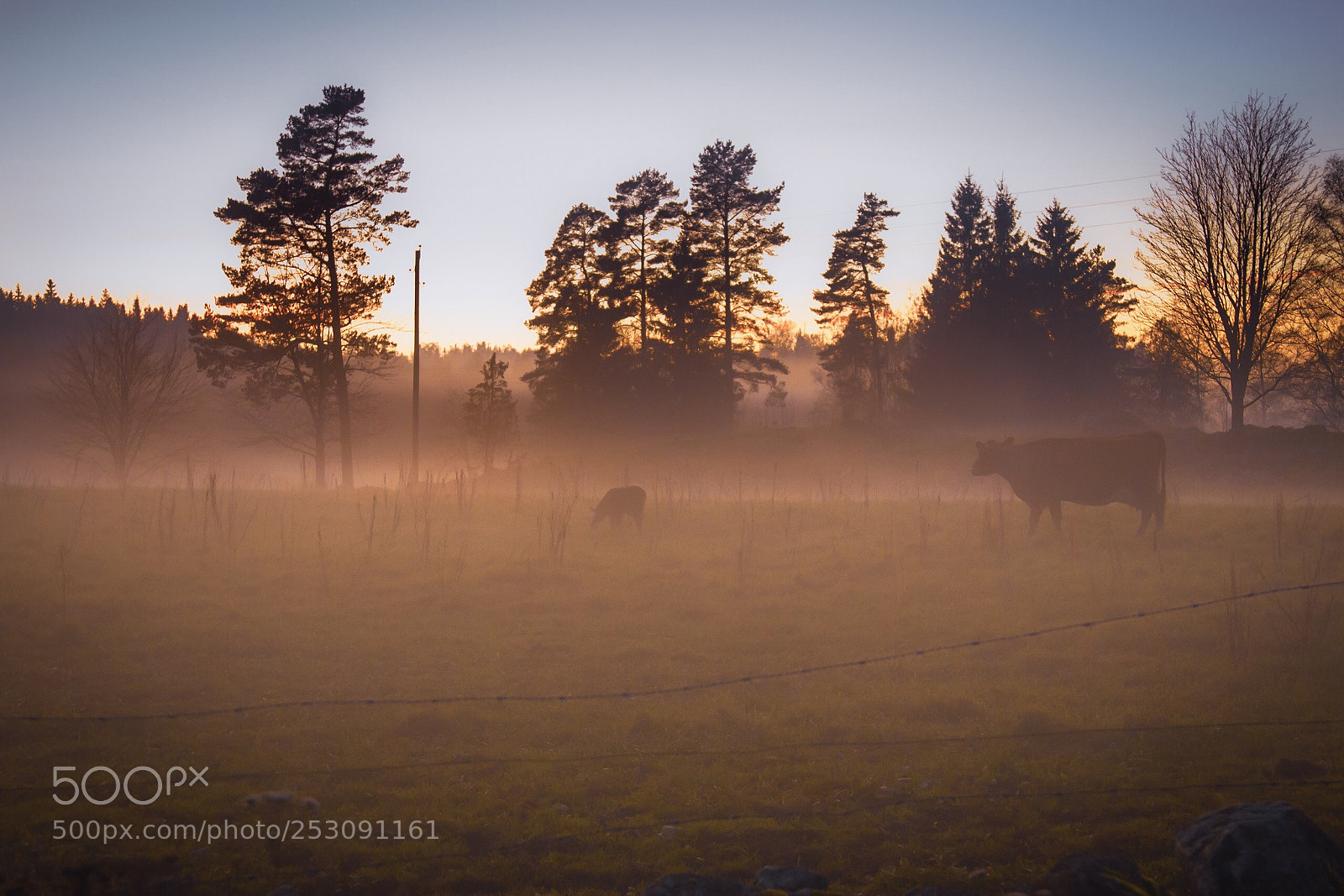 Canon EOS 7D sample photo. Countryside  photography