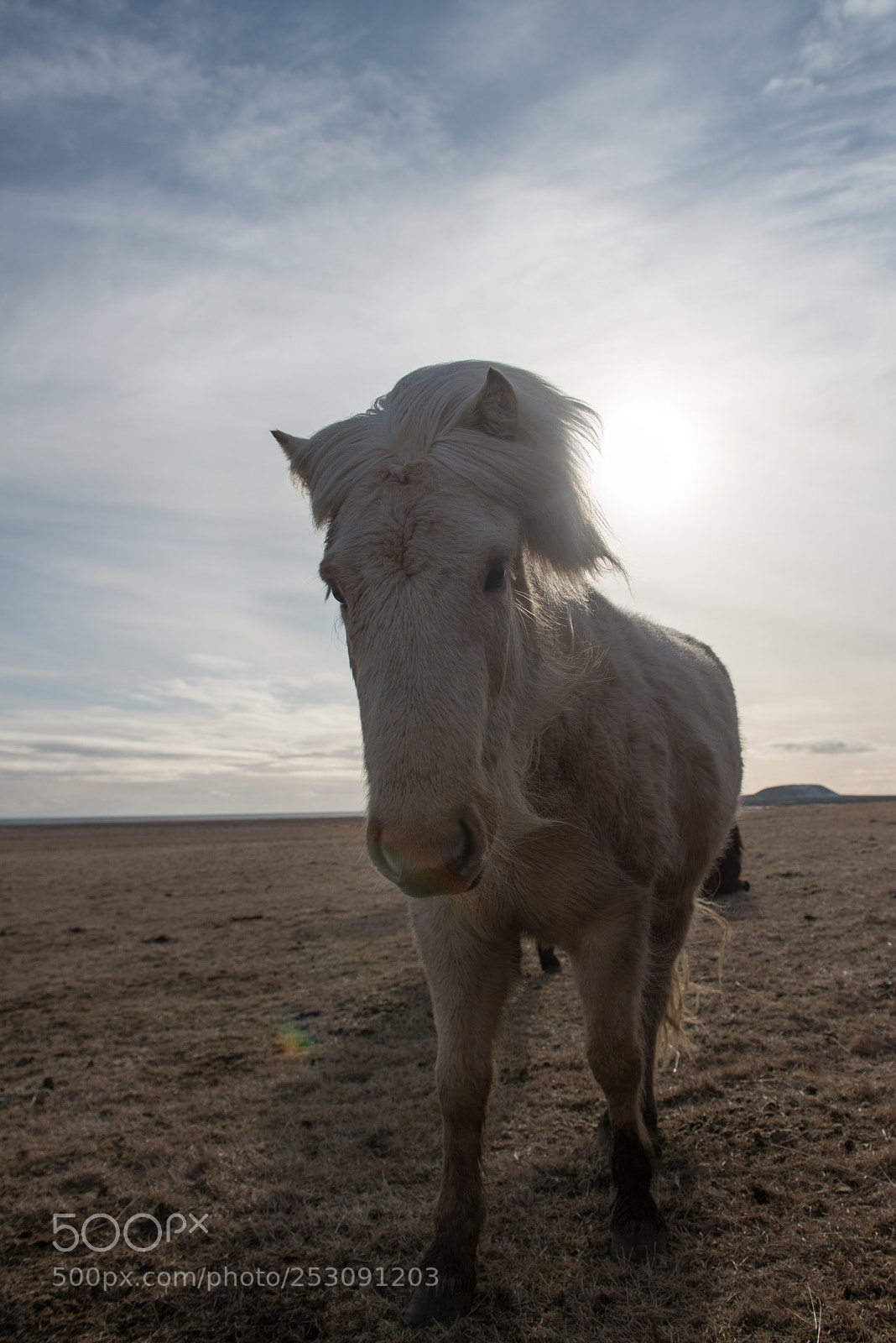 Nikon D800E sample photo. I want to run photography
