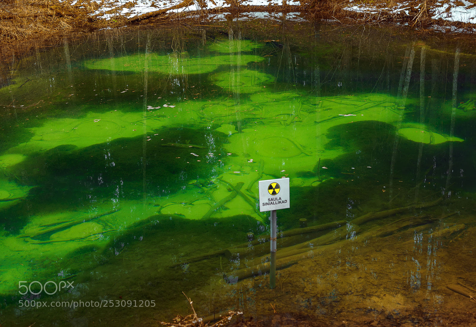 Nikon D610 sample photo. Beautiful forest geyser lake photography
