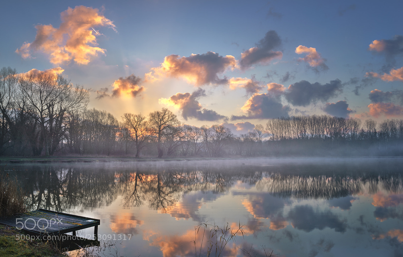 Sony a7 sample photo. Dawn of the pond photography