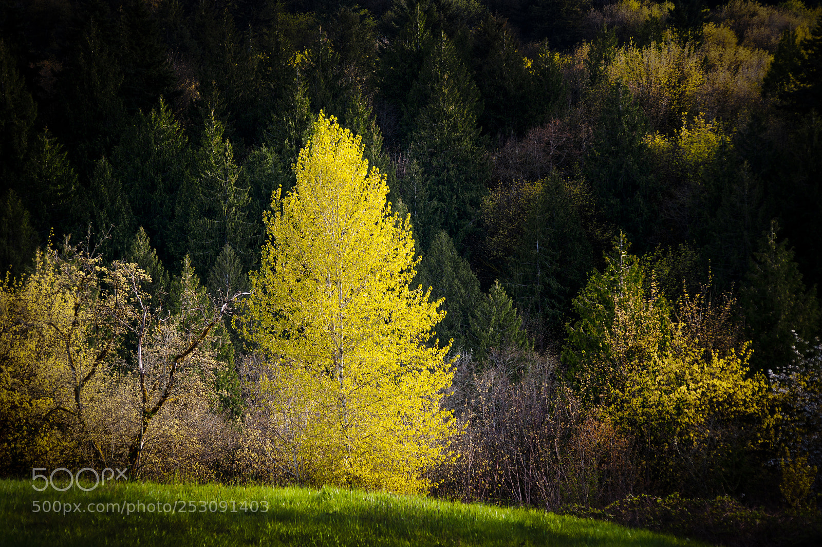 Nikon D700 sample photo. Funnel of light photography
