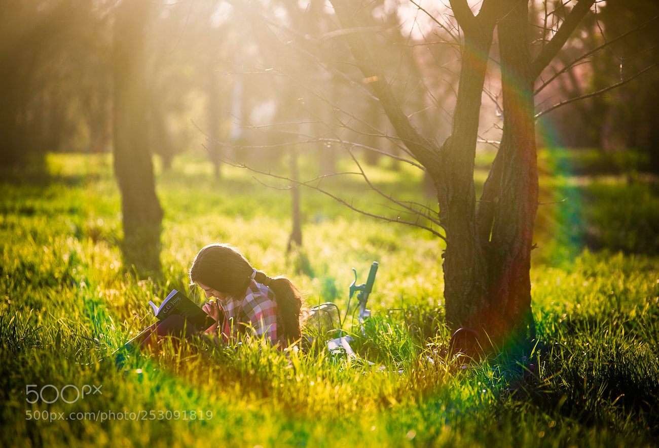 Nikon D610 sample photo. Under the sunlight photography