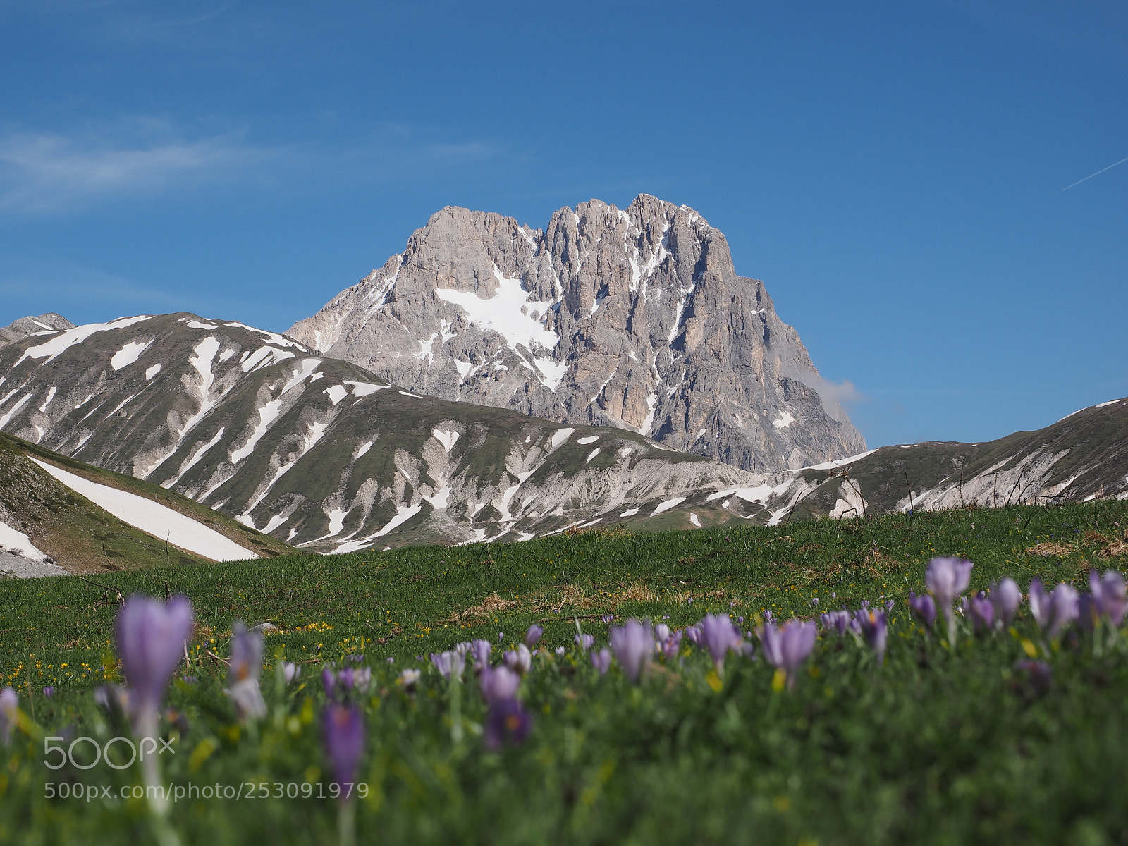 Olympus OM-D E-M1 sample photo. Spring at campo imperatore photography