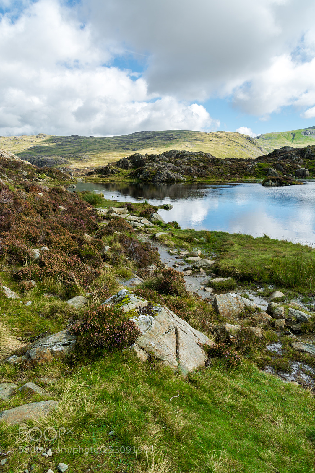 Nikon D7100 sample photo. The path leads ever photography
