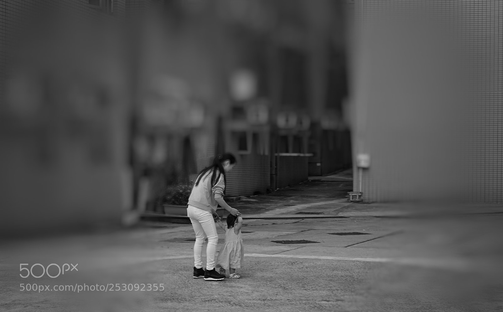 Sony a7 II sample photo. Untitled photography