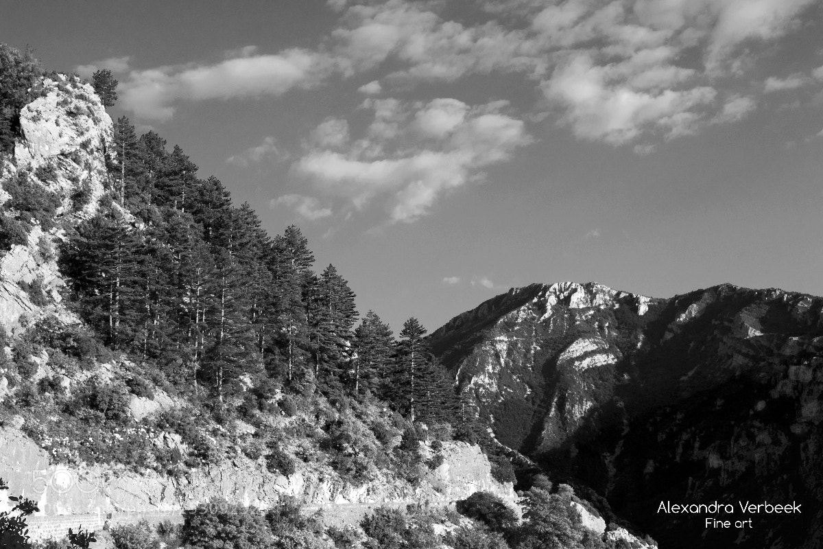 Nikon D3300 sample photo. Up in the mountains photography