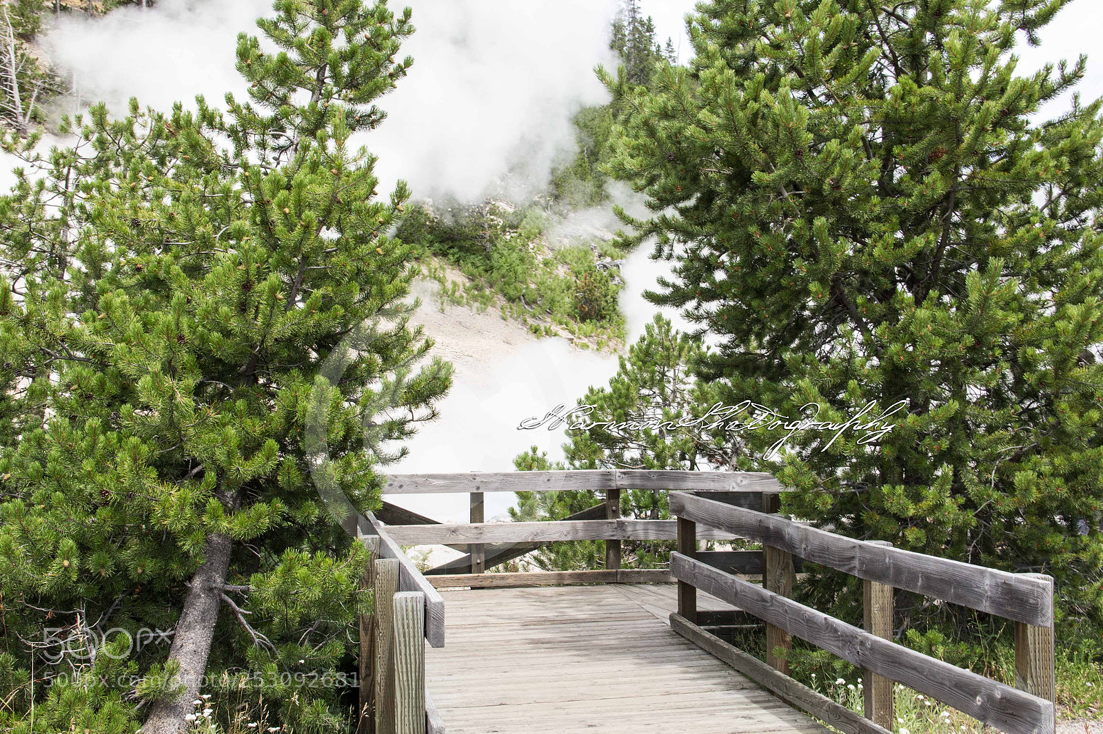 Canon EOS 60D sample photo. Yellowstone geysers photography
