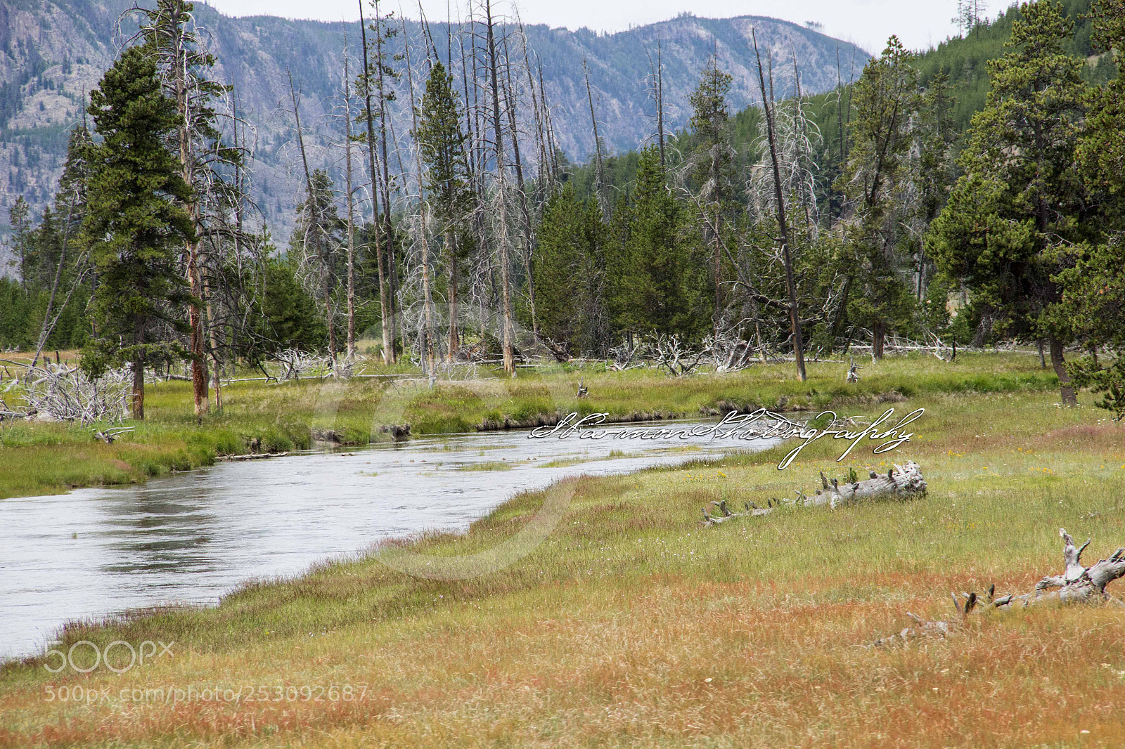 Canon EOS 60D sample photo. Yellowstone geysers photography
