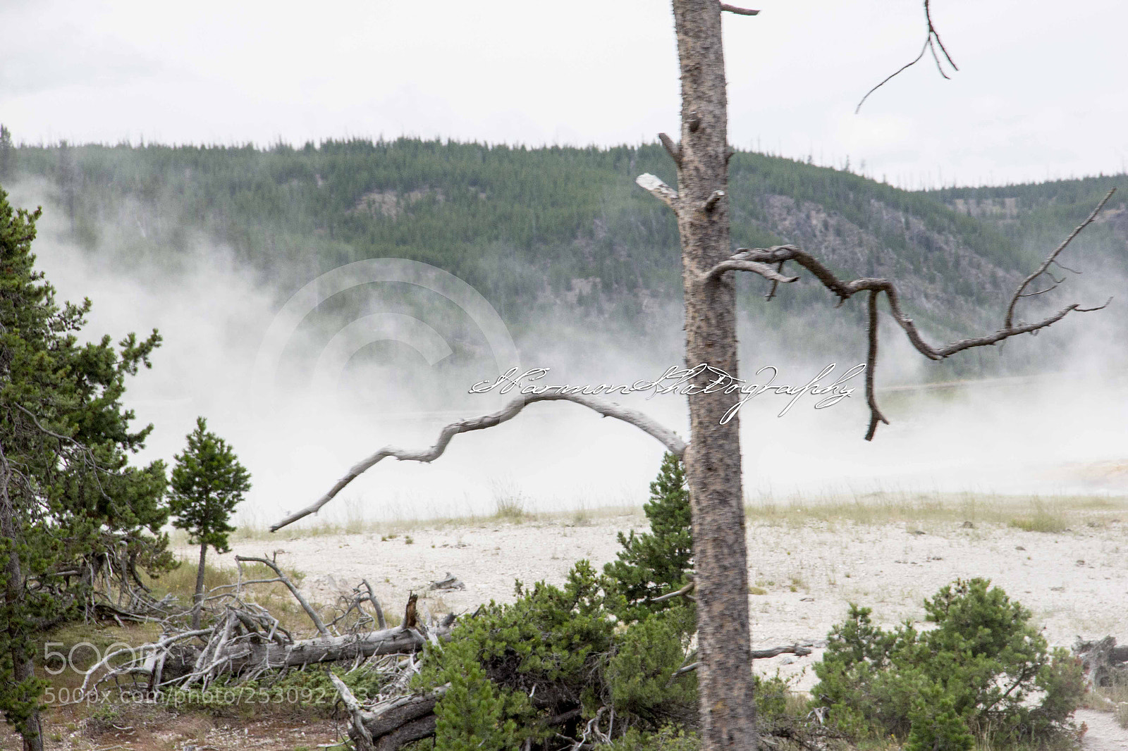 Canon EOS 60D sample photo. Yellowstone geysers photography