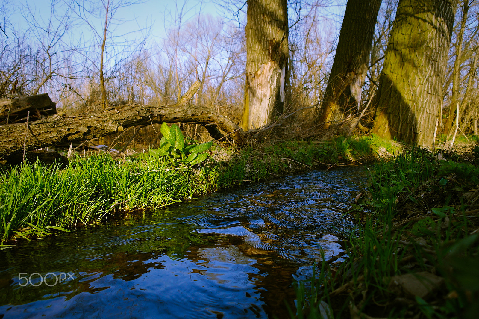 Samsung NX5 sample photo. Stream, sun, spring. photography