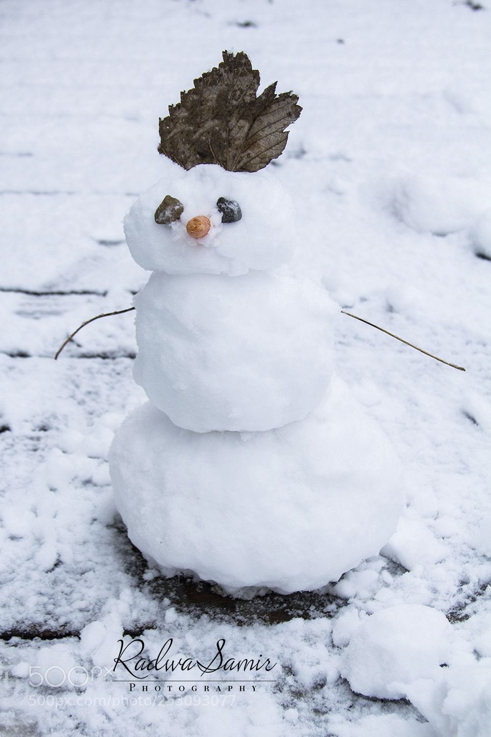 Canon EOS 700D (EOS Rebel T5i / EOS Kiss X7i) sample photo. Snowman photography