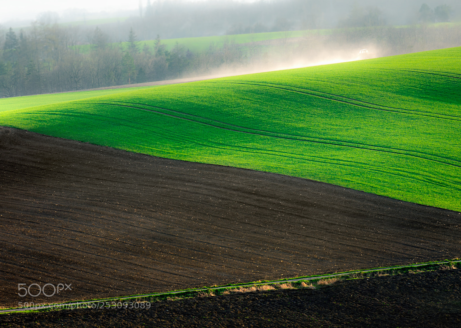 Nikon D7200 sample photo. Fields photography