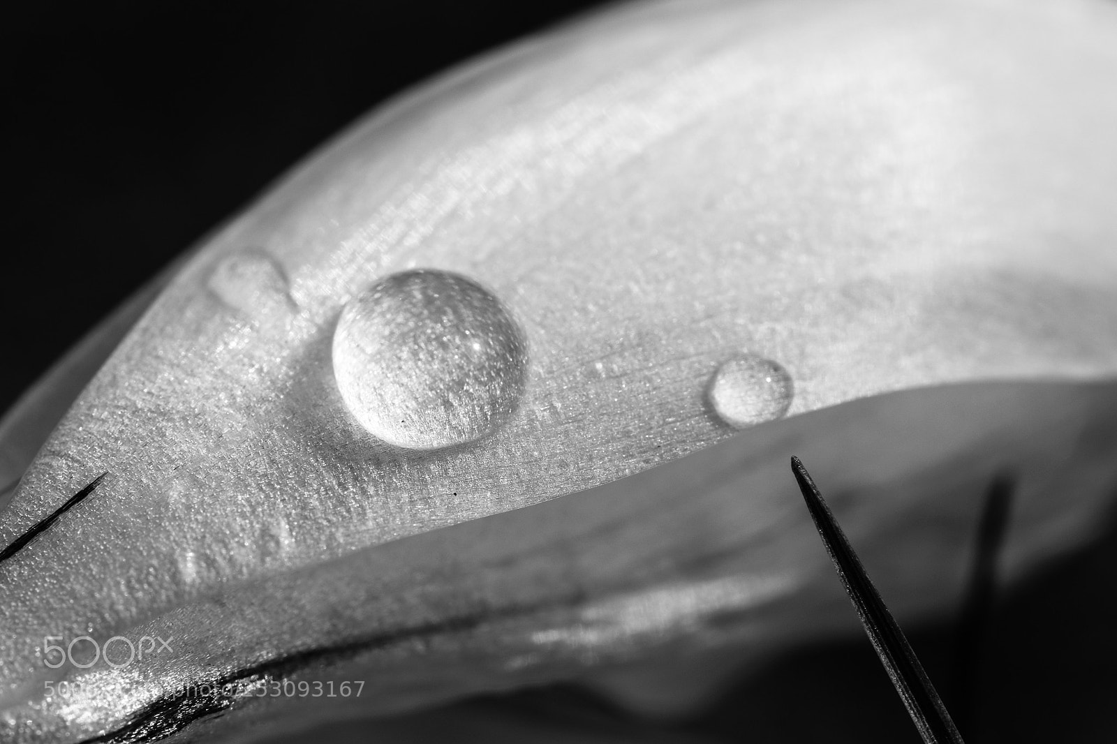 Fujifilm X-T2 sample photo. Raindrop photography