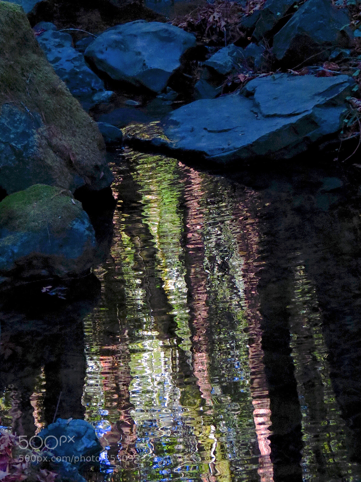 Canon PowerShot SX40 HS sample photo. Reflections, mill valley, california 2014 photography