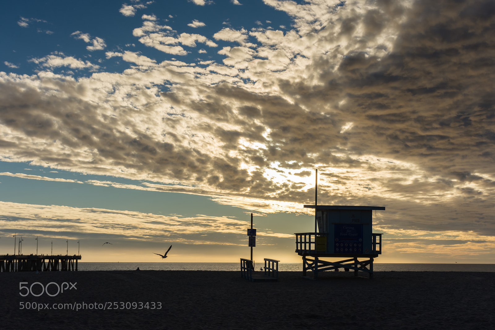 Nikon D7200 sample photo. Walking at sunset photography