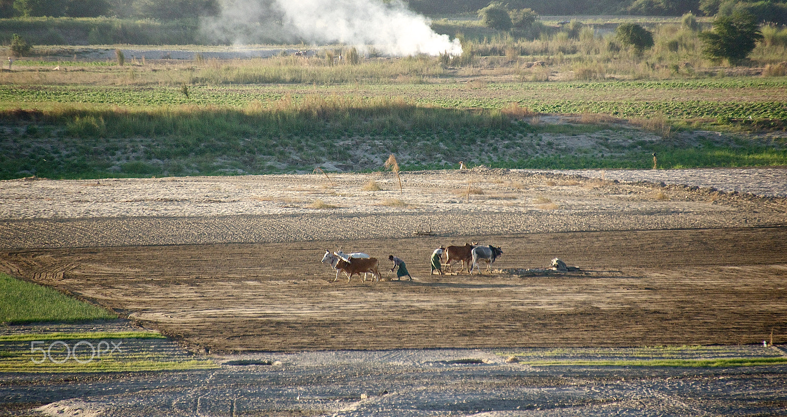 Sony SLT-A33 sample photo. Burma road (field work) photography