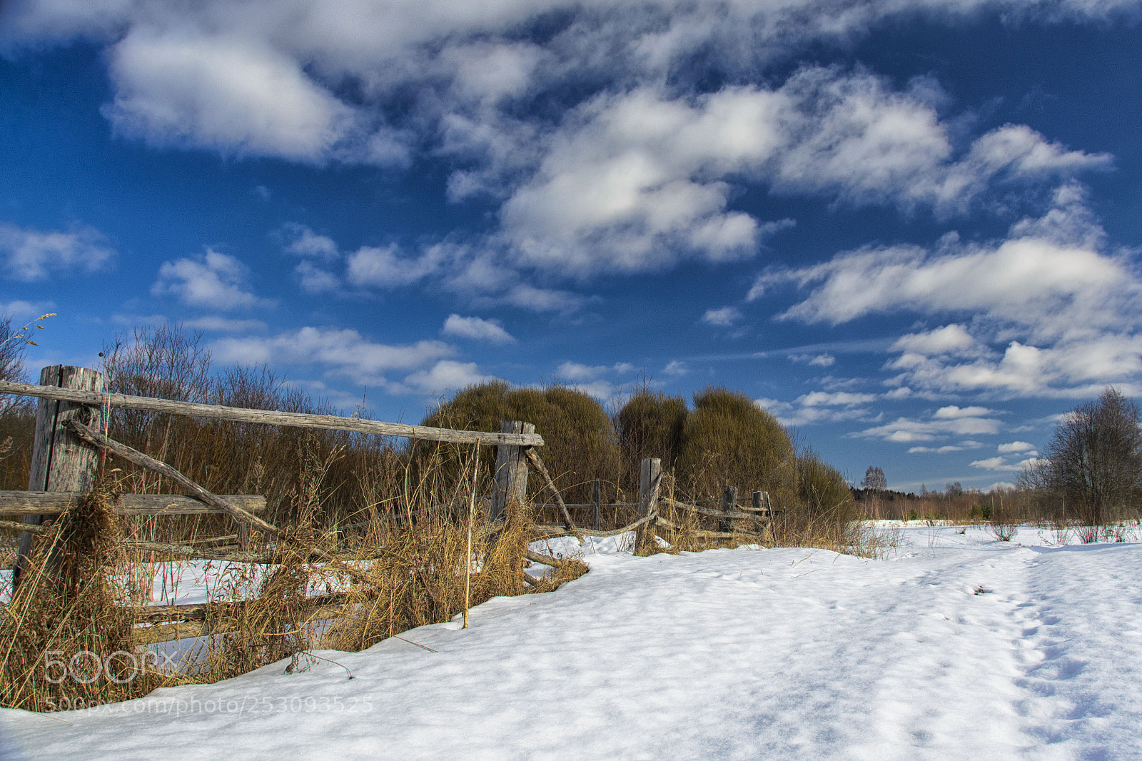 Nikon D5200 sample photo. Околица photography