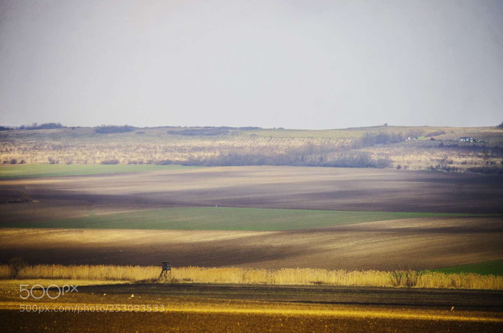 Pentax K-5 sample photo. Colors and fields photography