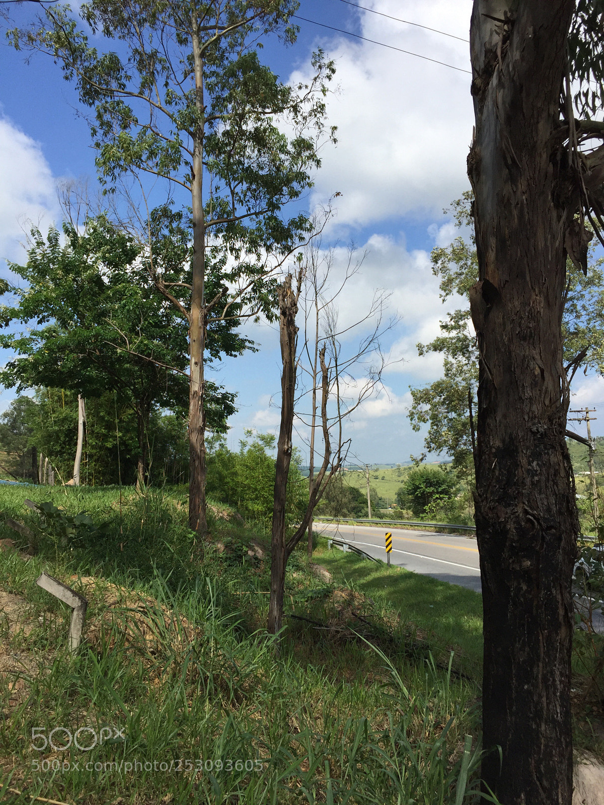 Apple iPhone 6 sample photo. Untitled photography